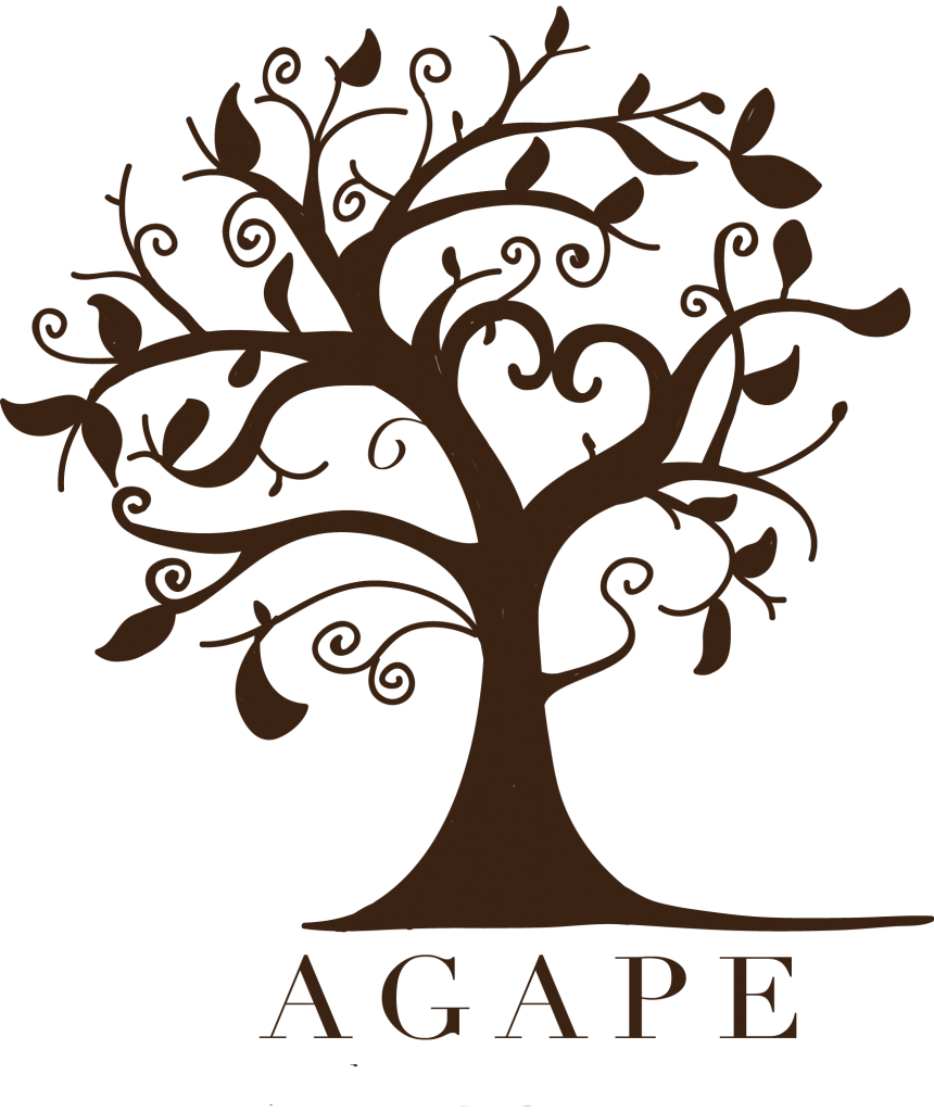 BLOG AgapeStudio